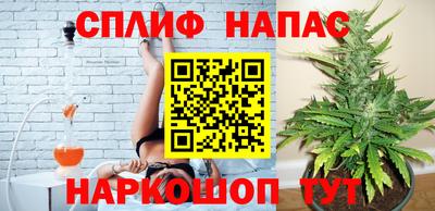 гашиш Новокубанск