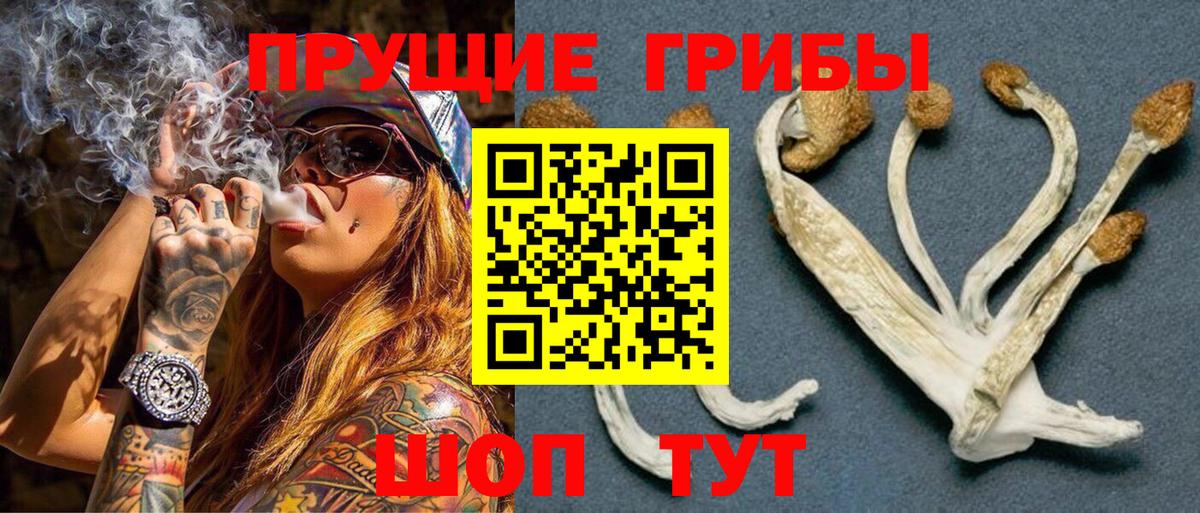 Псилоцибиновые грибы прущие грибы  Вход с VPN  Светлоград 